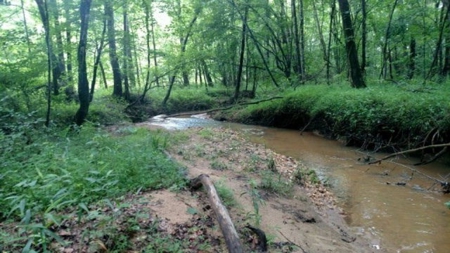 Luxury Home and Large Land 82+ Acres in Danville, VA - image 13