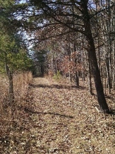 Luxury Home and Large Land 82+ Acres in Danville, VA - image 10