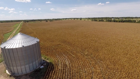 280 Acres Milam County – Located on FM 2269 near CR 122 - image 8