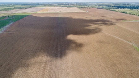 280 Acres Milam County – Located on FM 2269 near CR 122 - image 6