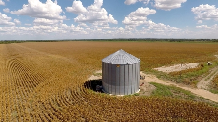 280 Acres Milam County – Located on FM 2269 near CR 122 - image 12