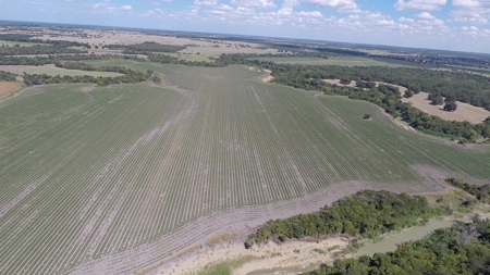 280 Acres Milam County – Located on FM 2269 near CR 122 - image 11