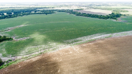 280 Acres Milam County – Located on FM 2269 near CR 122 - image 7