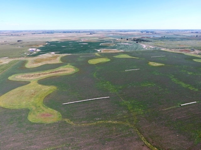 SOLD! 320 Acres of Cropland, Alfalfa, Grass - Miner Co, SD - image 12