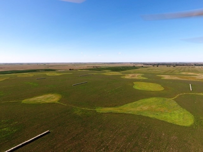 SOLD! 320 Acres of Cropland, Alfalfa, Grass - Miner Co, SD - image 9