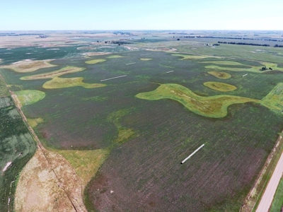 SOLD! 320 Acres of Cropland, Alfalfa, Grass - Miner Co, SD - image 11
