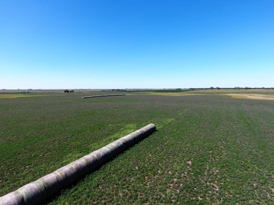 SOLD! 320 Acres of Cropland, Alfalfa, Grass - Miner Co, SD - image 8