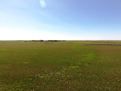 SOLD! 320 Acres of Cropland, Alfalfa, Grass - Miner Co, SD - image 6