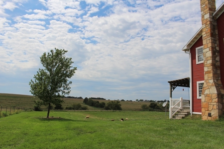 Intensive Grazing Farm in the Missouri Ozarks For Sale! - image 1