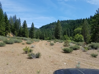 Cherry Hill Placer Mine For Sale - image 9
