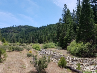 Cherry Hill Placer Mine For Sale - image 7
