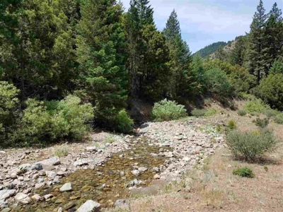 Cherry Hill Placer Mine For Sale - image 1