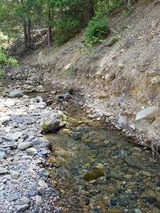 Cherry Hill Placer Mine For Sale - image 5