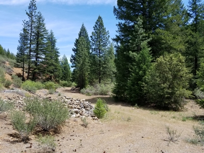 Cherry Hill Placer Mine For Sale - image 10