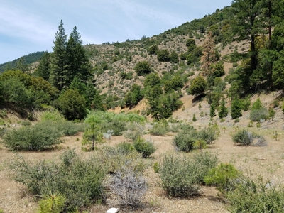 Cherry Hill Placer Mine For Sale - image 3
