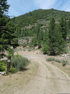 Cherry Hill Placer Mine For Sale - image 2