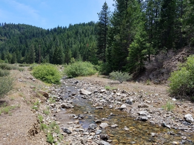 Cherry Hill Placer Mine For Sale - image 8
