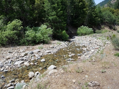 Cherry Hill Placer Mine For Sale - image 4
