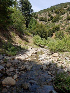 Cherry Hill Placer Mine For Sale - image 6