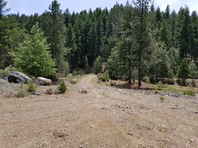 Cherry Hill Placer Mine For Sale - image 15