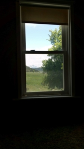 Irrigated Farmhouse acreage Ridgway Montrose CO for sale - image 5