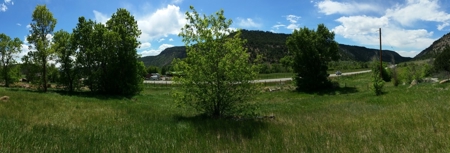 Irrigated Farmhouse acreage Ridgway Montrose CO for sale - image 12