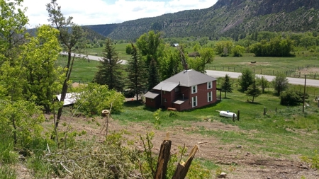 Irrigated Farmhouse acreage Ridgway Montrose CO for sale - image 2