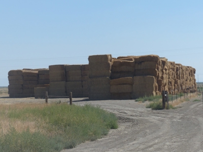 Burns, Or  Hay Farm For Sale, Eastern Oregon - image 6