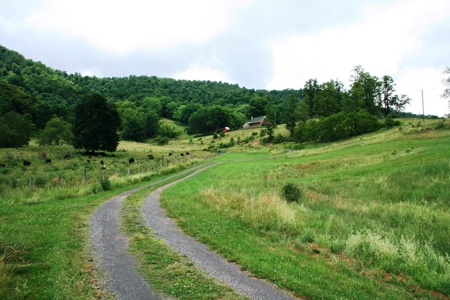 Private Mountain Farm And Retreat/ Highland County Va - image 3
