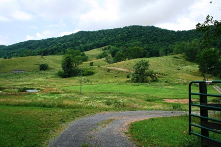 Private Mountain Farm And Retreat/ Highland County Va - image 1