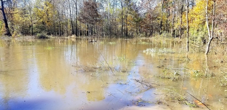 West Tennessee Duck Hunting Land for sale near Tigrett - image 33