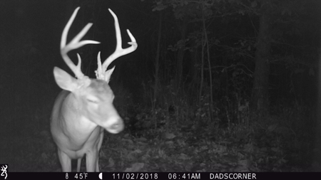 West Tennessee Duck Hunting Land for sale near Tigrett - image 37