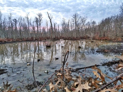 West Tennessee Duck Hunting Land for sale near Tigrett - image 17