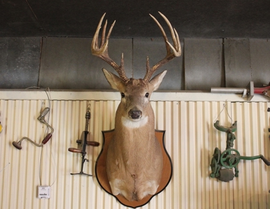 West Tennessee Duck Hunting Land for sale near Tigrett - image 12