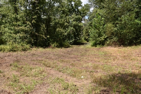 West Tennessee Duck Hunting Land for sale near Tigrett - image 6