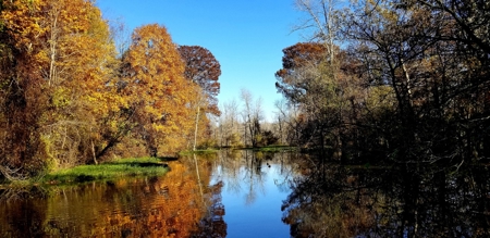 West Tennessee Duck Hunting Land for sale near Tigrett - image 31