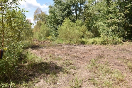 West Tennessee Duck Hunting Land for sale near Tigrett - image 7