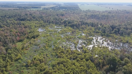 West Tennessee Duck Hunting Land for sale near Tigrett - image 13