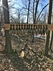 West Tennessee Duck Hunting Land for sale near Tigrett - image 28