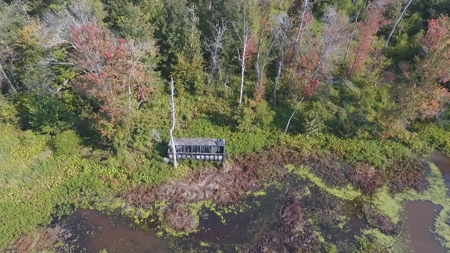 West Tennessee Duck Hunting Land for sale near Tigrett - image 10
