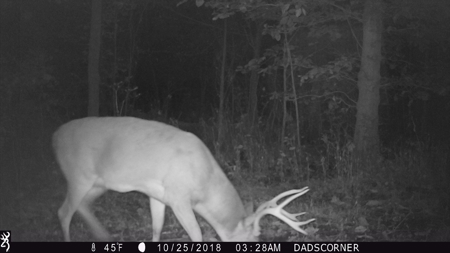 West Tennessee Duck Hunting Land for sale near Tigrett - image 36