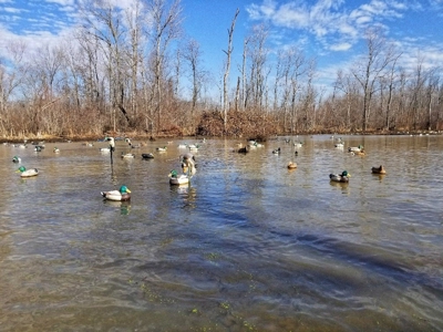 West Tennessee Duck Hunting Land for sale near Tigrett - image 20