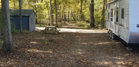 West Tennessee Duck Hunting Land for sale near Tigrett - image 30