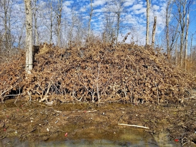 West Tennessee Duck Hunting Land for sale near Tigrett - image 23