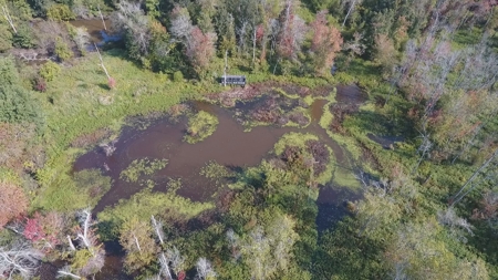 West Tennessee Duck Hunting Land for sale near Tigrett - image 11