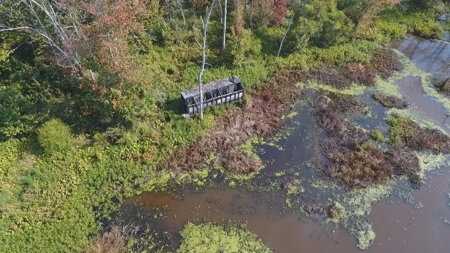 West Tennessee Duck Hunting Land for sale near Tigrett - image 8