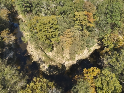 Dugdemona River Timberland for Sale in Winn Parish, LA - image 7