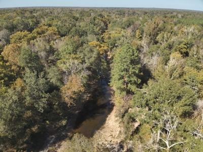 Dugdemona River Timberland for Sale in Winn Parish, LA - image 6