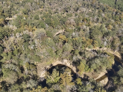 Dugdemona River Timberland for Sale in Winn Parish, LA - image 1