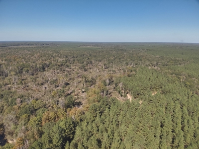 Dugdemona River Timberland for Sale in Winn Parish, LA - image 8